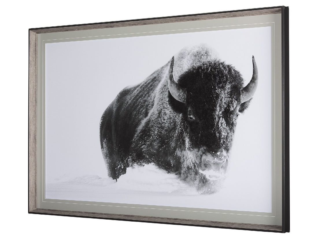 A Struggle | Calgary Furniture Store
